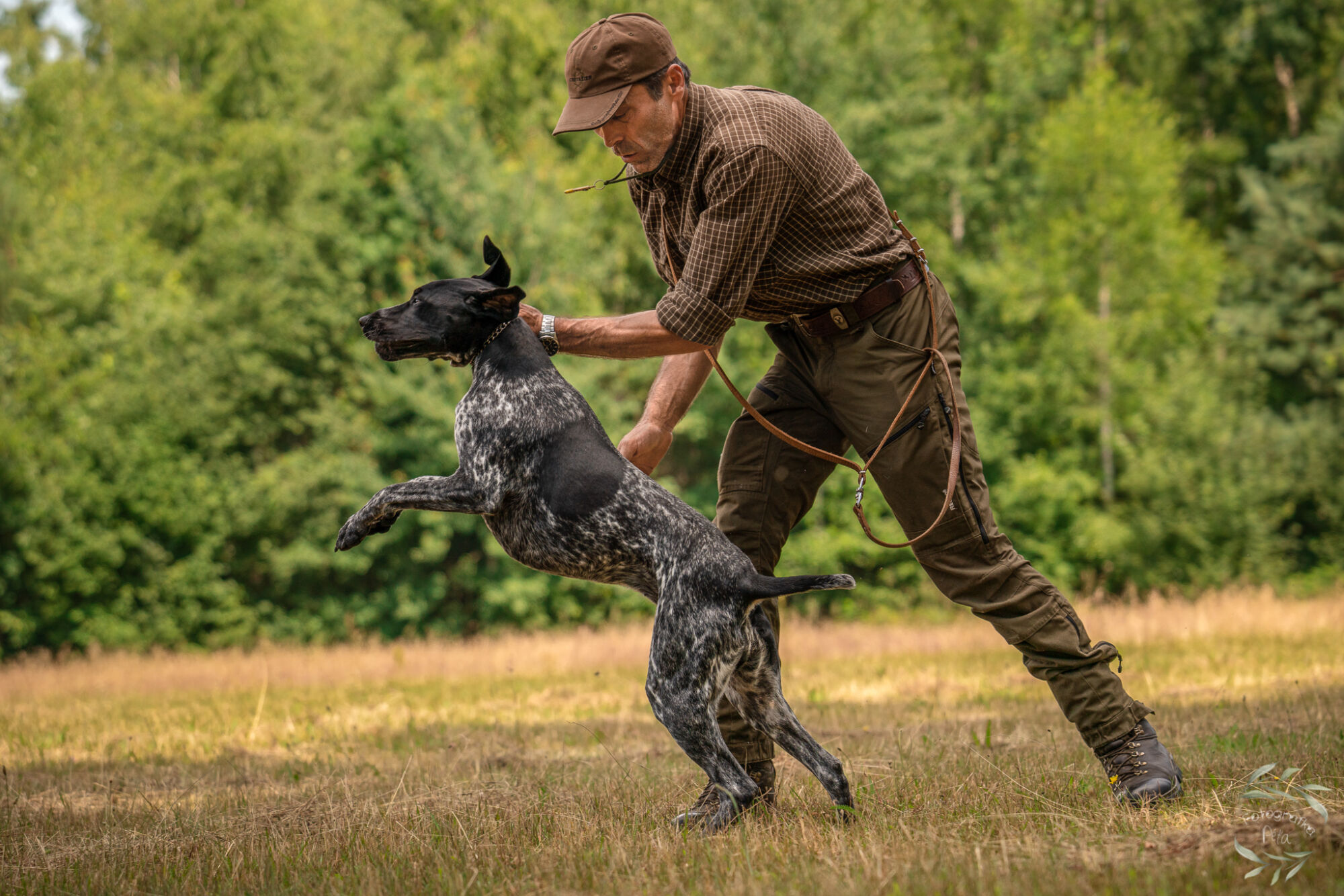 výcvik loveckých psů